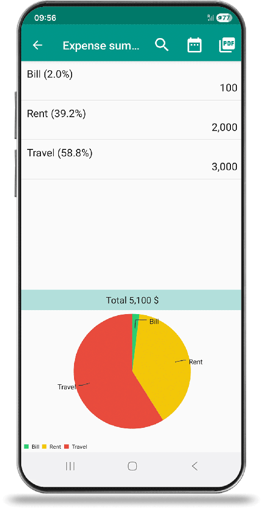 daily accounting reports as charts and graphs