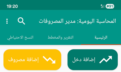 تسجيل المصروفات والدخل